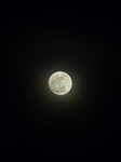 FZ004056 Full moon.jpg